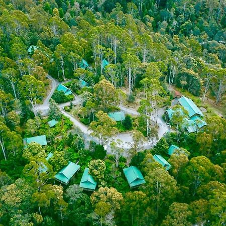 Hotel Lemonthyme Wilderness Retreat Moina Esterno foto