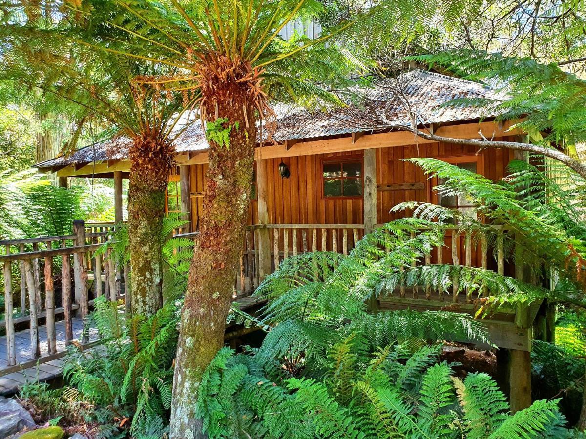 Hotel Lemonthyme Wilderness Retreat Moina Esterno foto