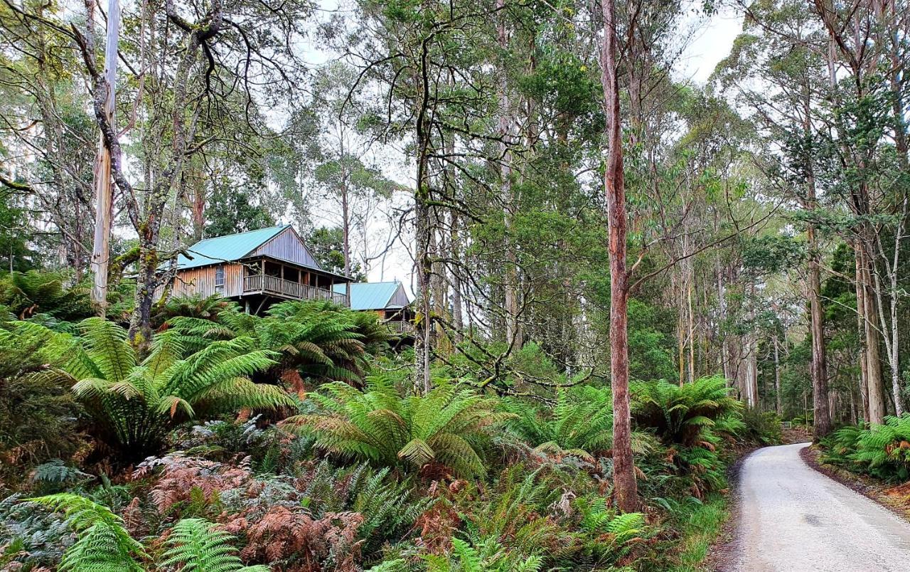 Hotel Lemonthyme Wilderness Retreat Moina Esterno foto
