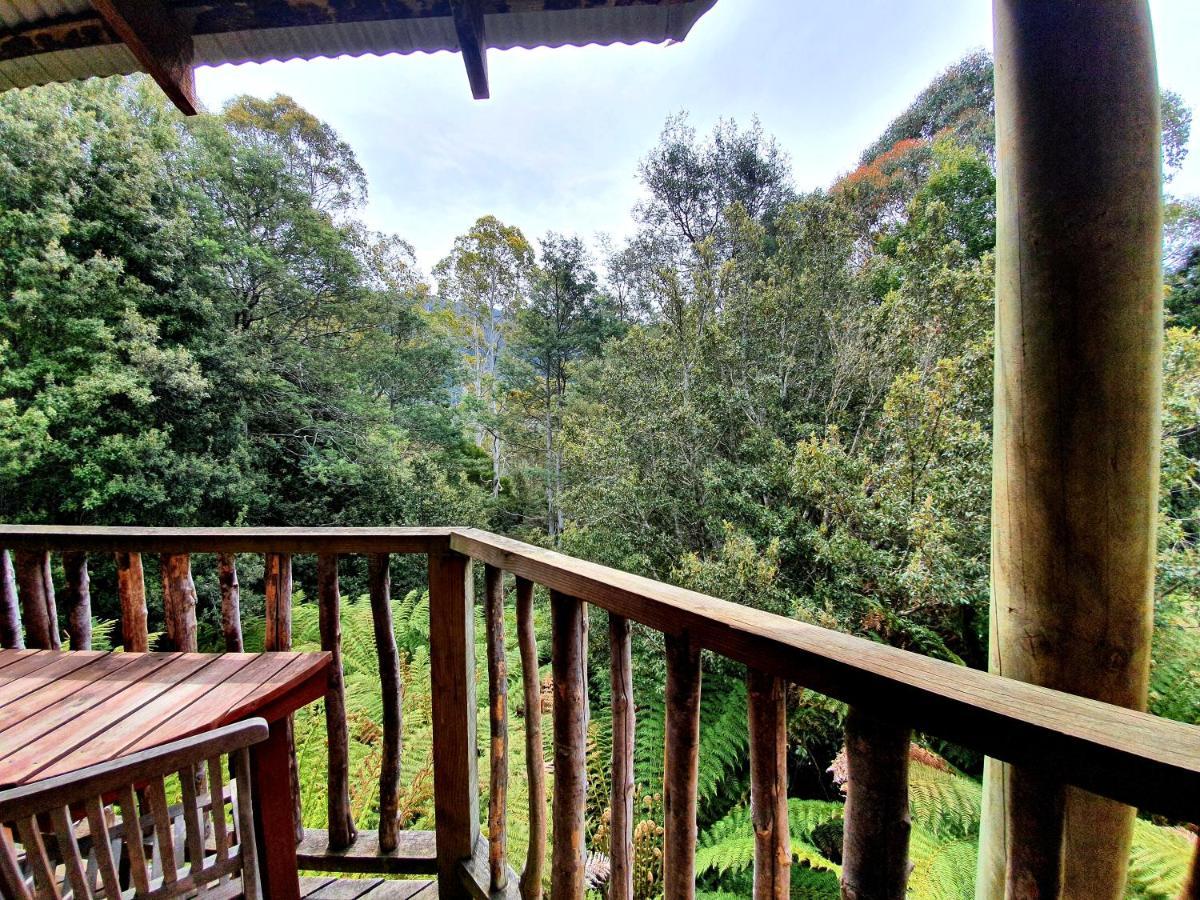 Hotel Lemonthyme Wilderness Retreat Moina Esterno foto