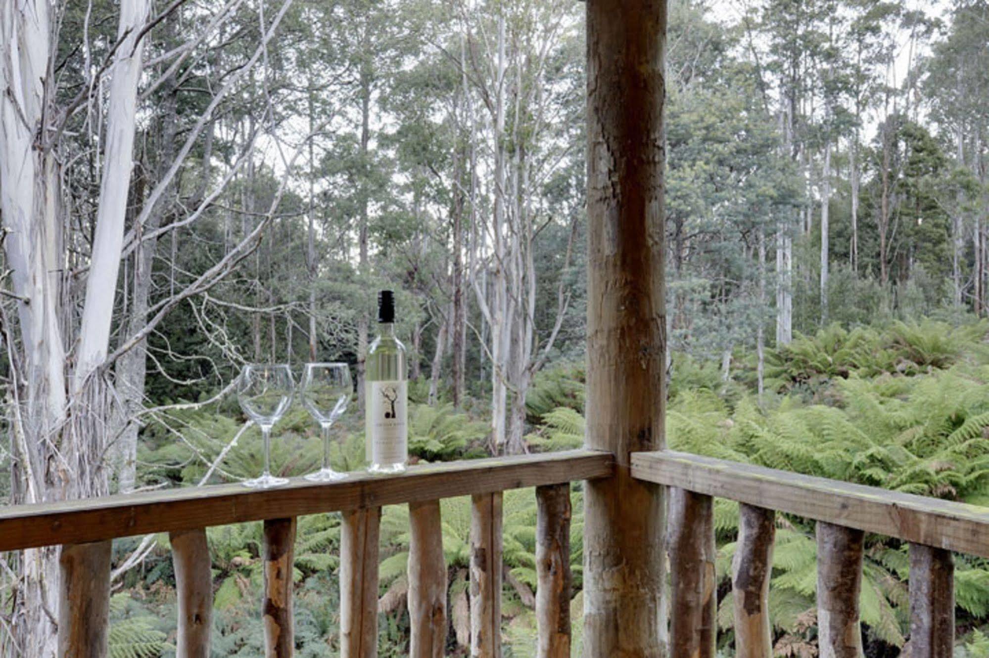 Hotel Lemonthyme Wilderness Retreat Moina Esterno foto