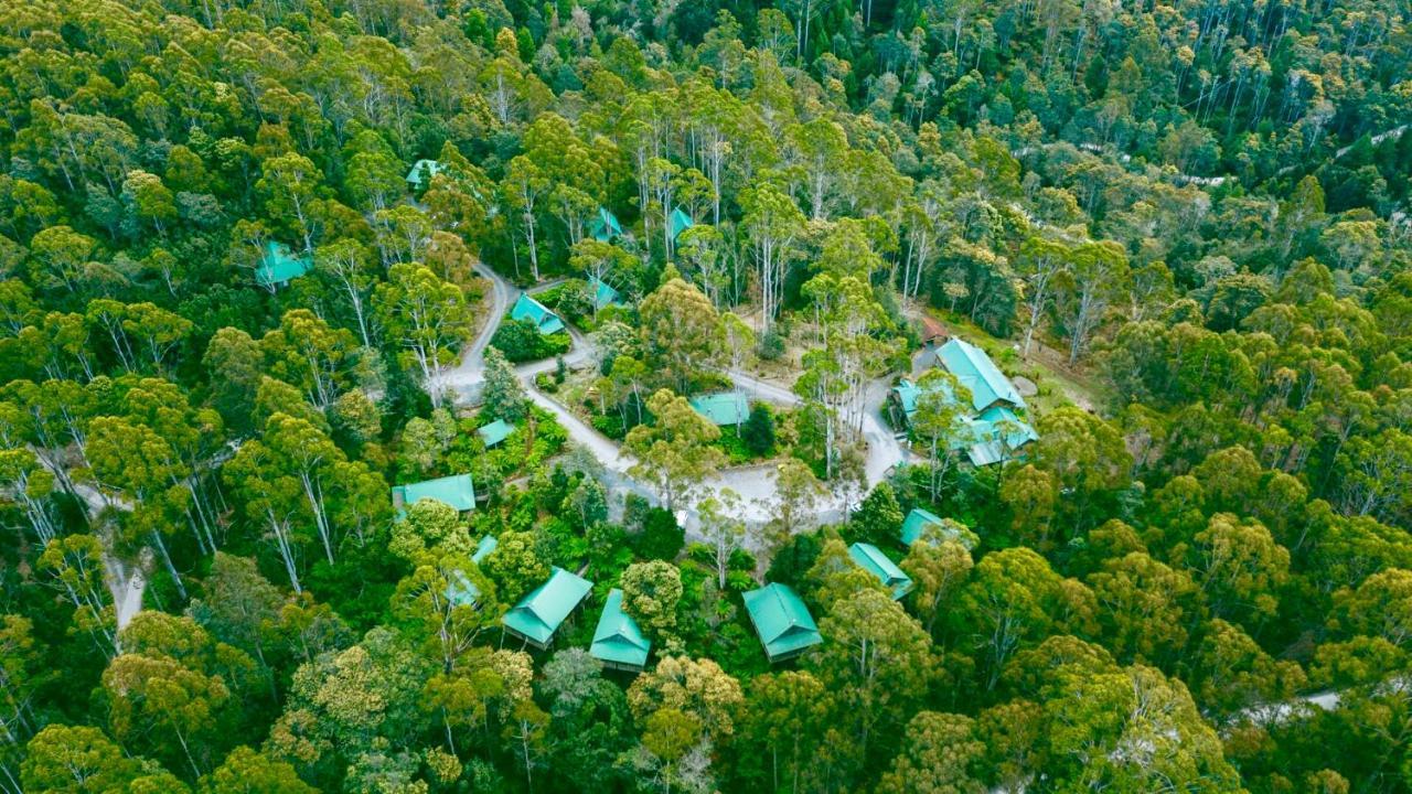 Hotel Lemonthyme Wilderness Retreat Moina Esterno foto